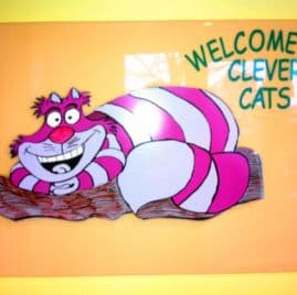 Clever Cats