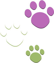 Playful pawprints